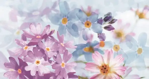 Magik Decorado Eros A Blanco 31.6х59.34