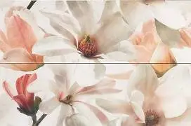 Dream Coral D-827 40х60