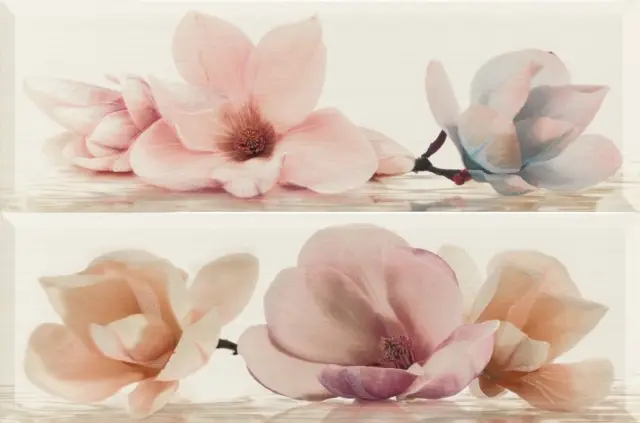 Moon Blanco D-818 (2pzs) 40х60