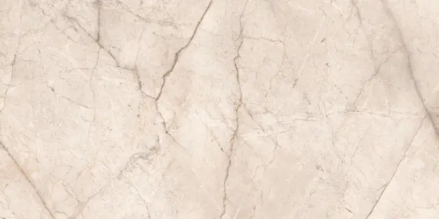 Silver Root Pearl 80х160