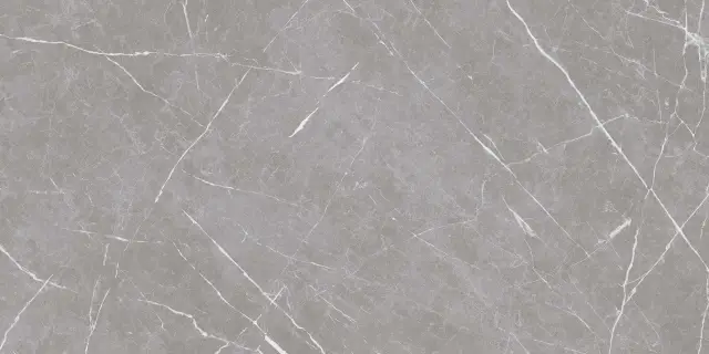 Apana Dark Grey 60х120