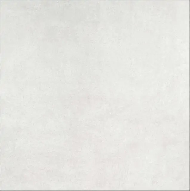 BILBAO GRIS ПОЛИРОВАННАЯ 60X60 82BI35P (07-94)