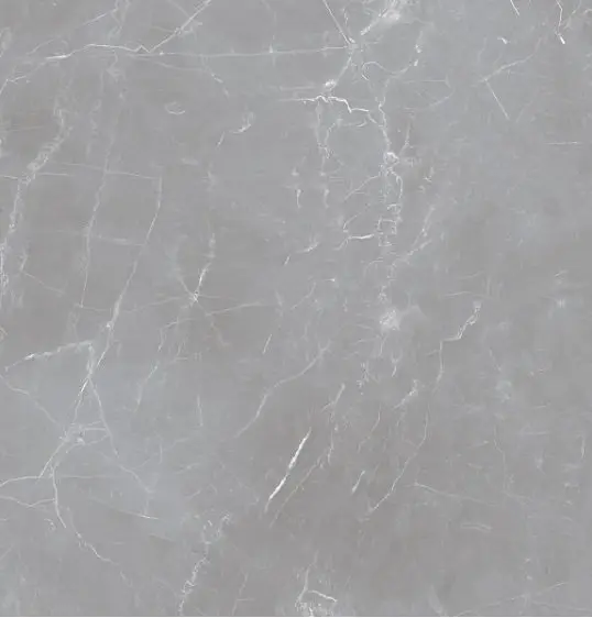 Arion Gray Dark 60х60 (59.7х59.7), 20мм