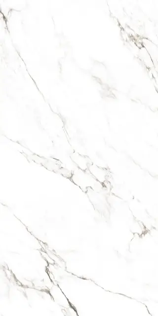 Statuario Castork 120х278