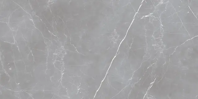 Arion Gray Dark 61х121 (Новая партия), 20мм