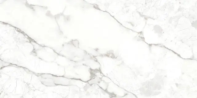 Breccia Bianco 60х120