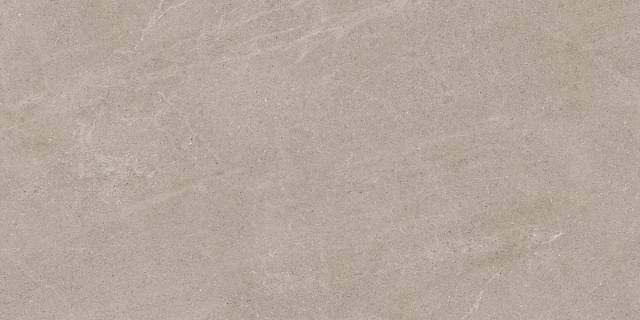 Violin Mocha 60х120