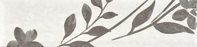 Levels Dimgrey Decor 1 Matt 6x25