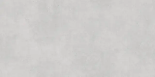 Millenium Light Gray 60х120