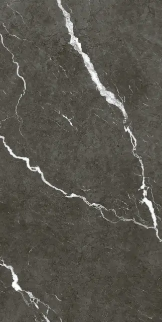 Coliseum Michelangelo Керамогранит Dark 60x120 натуральный