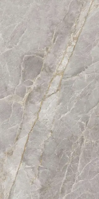 Majestic Grey Silky 60x120