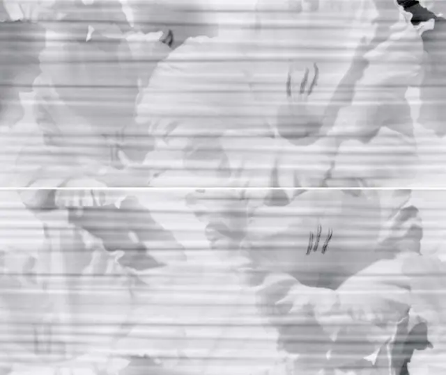 Celia white panno 01 (из 2х частей 25x60)  |50х60