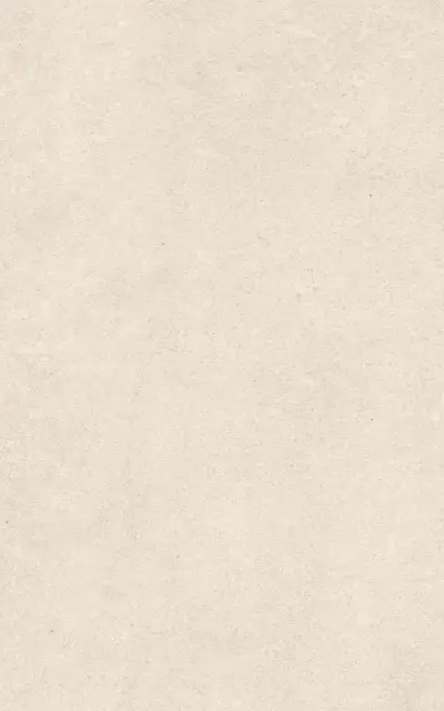 Эфа беж верх 01 25x40