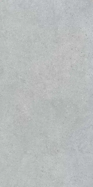 Фондамента светлый обрезной|60х119.5