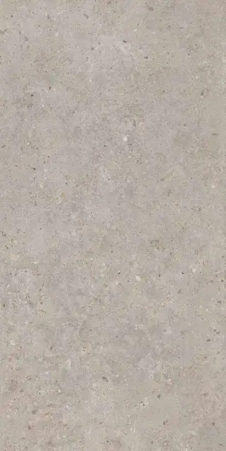 Риккарди серый светлый матовый обрезной 60х119,5