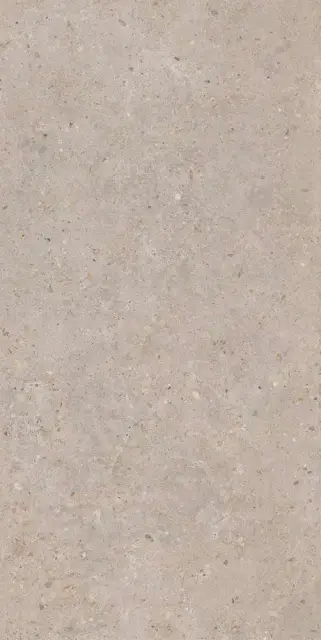 Риккарди бежевый матовый обрезной 60x119,5