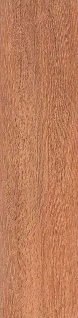 Вяз коричневый l9.9х40.2