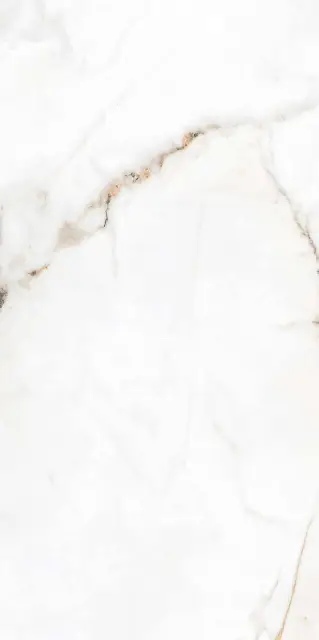 Cr.Torano Dorado Compacglass |60x120