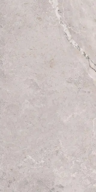 Erding Silver Decorstone 60x120