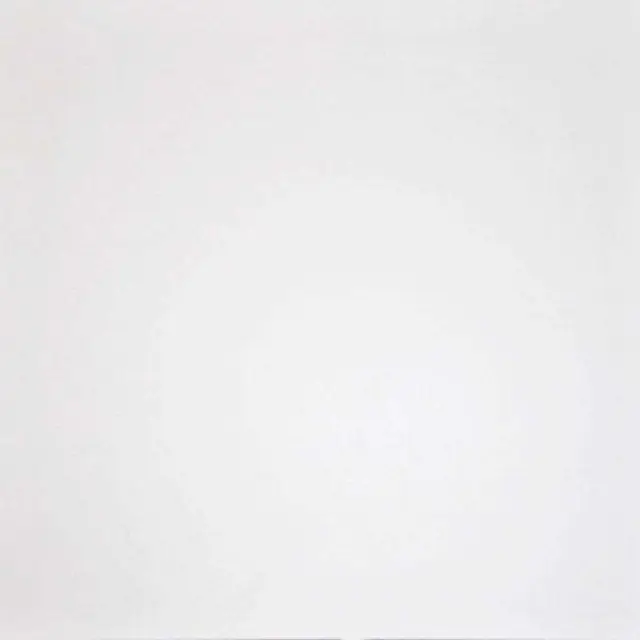 Керамогранит G-100/MR Domino белый матовыйl60x60