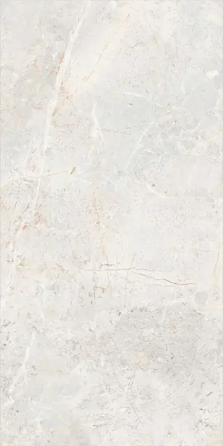 Augustus Pearl Natural rect 60x120