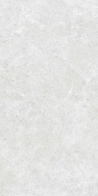 Monochrom 2060 Белый 60х120