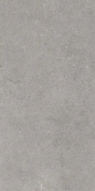 Monochrom 2062 Серый Темный  Матовый 60х120