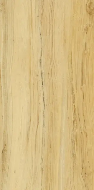 Alleya 2101 Медовый Структурированный 60x120