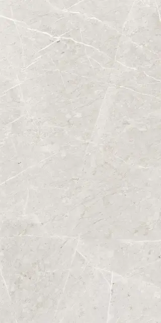 Skala 2201 Белый Матовый 60х120