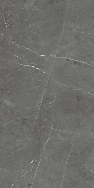 Skala 2203 Темно-серый Матовый 60х120