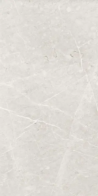 Skala 2201 Белый Лаппатированный 60х120