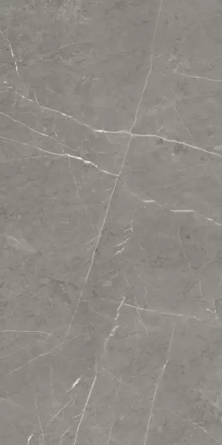 Skala 2202 Серый Лаппатированный 60х120