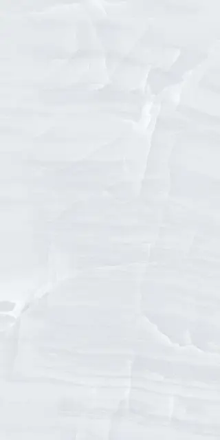 Moroz I Solnce 2090 LR Белый 60х120