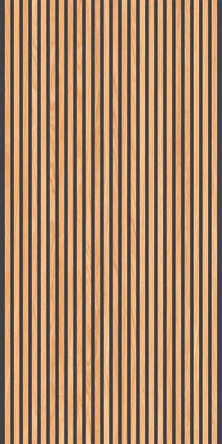 Canne Honey Black 60x120