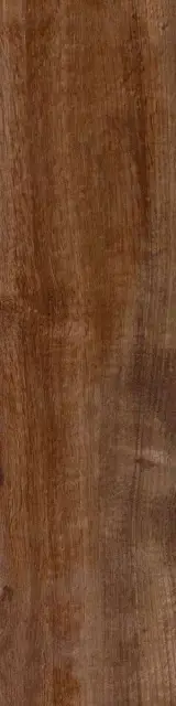 Tabula Cappuccino XX |15x61