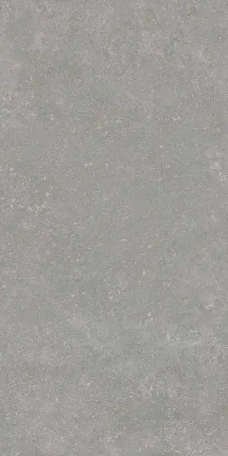 Гранит Глория серый SR структ. |60x120