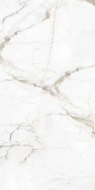 Гранит Паллисандро Оро SR структ |60x120