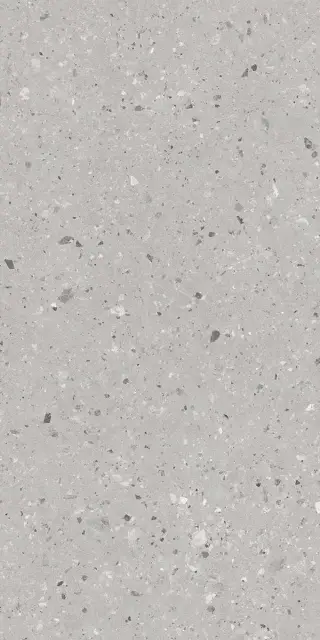 Граните Концепта Жемчуг MR мат.ZZ 60х120