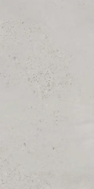 Граните Концепта Селикато Серый MR мат.60х120