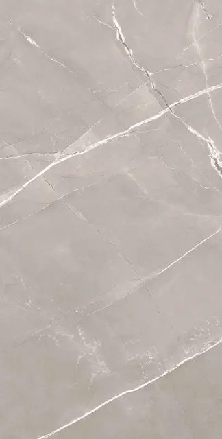 Armani Grey Satin 60x120