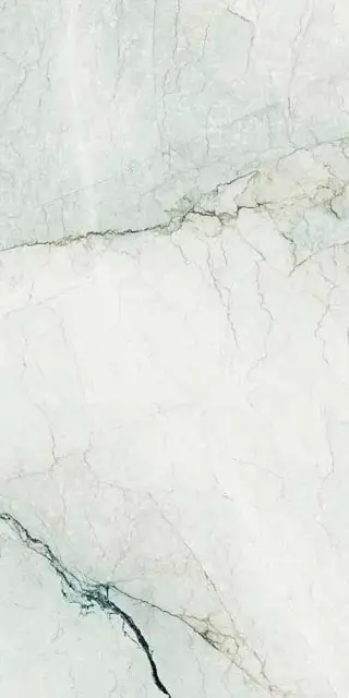 AE CAM6 278 LPM 120x278