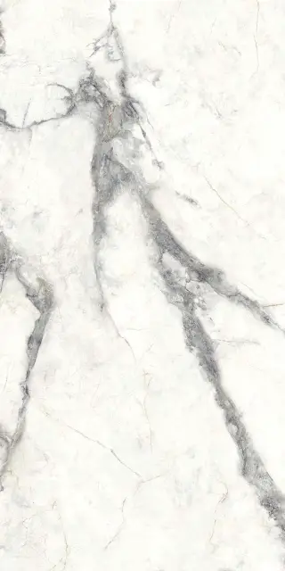 Charme Invisible Grey 60x120