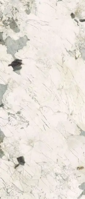 Pat Wh6 278 LP  120x278