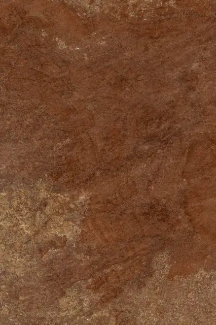 PORF MIX18 23  |20x30