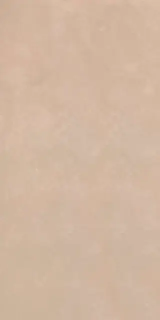 RTN6 TERRA12 RM 60x120