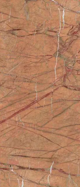 FOGOLD6 278 RM  120x278