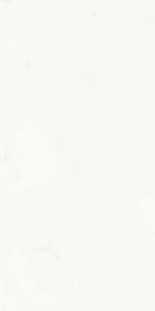 Statuario Classico Soft |60x120