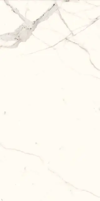 Bianco Calacatta Luc |60x120