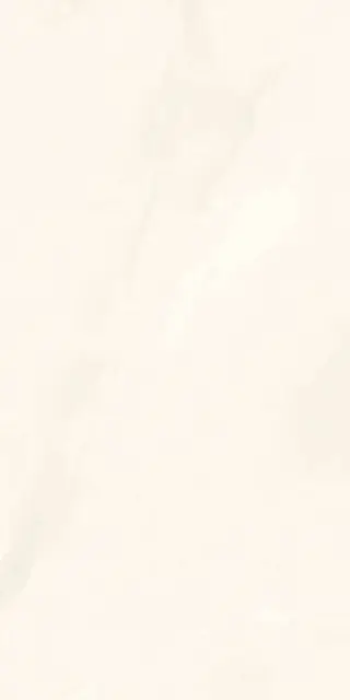 Onice Bianco Extra Lev Silk XX 60x120