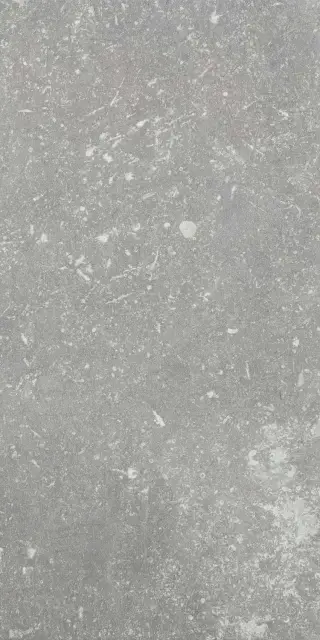 Ardenne Grigio 20x40